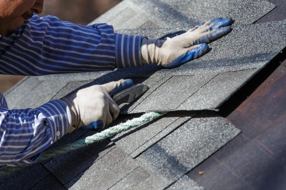 Roofing Upgrade by Living Roots Home